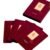 PlaReceta Collagen Mask Pack (4 x 25 ml)