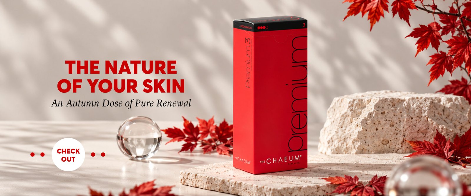 Autumn Promo